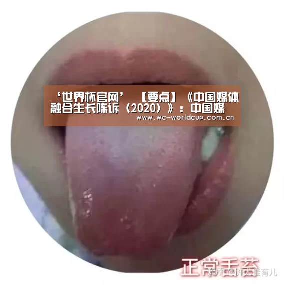 2026世界杯