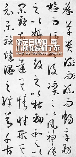 保定自媒体 每小我私家都了不起!_世界杯(图1) 2026世界杯