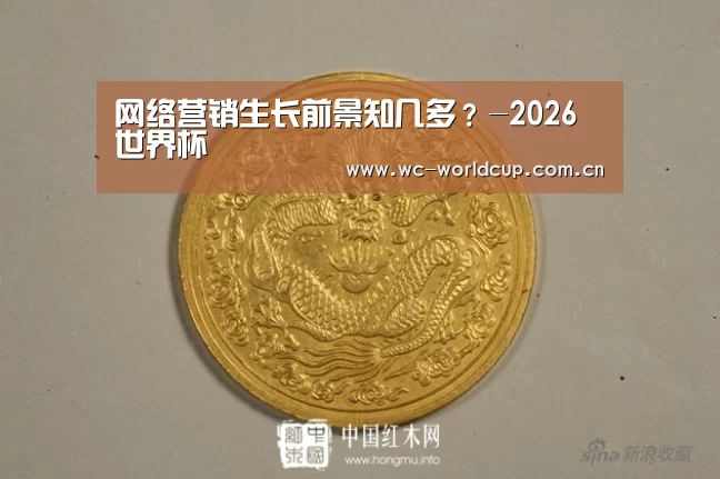 2026世界杯