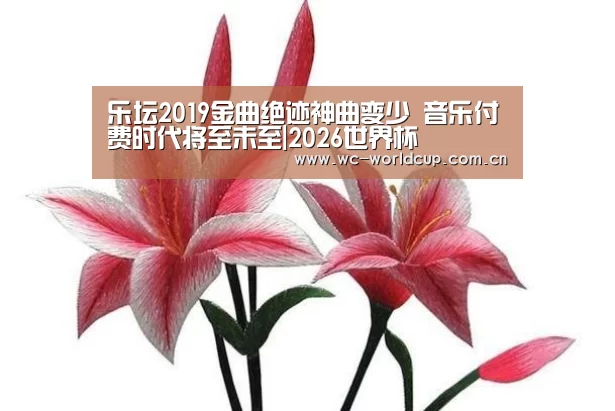 乐坛2019金曲绝迹神曲变少 音乐付费时代将至未至|2026世界杯(图3) FIFA世界杯