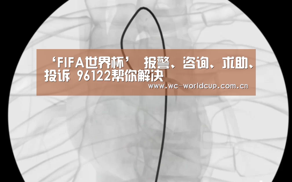 FIFA世界杯