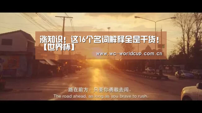 涨知识!这16个名词解释全是干货!【世界杯】(图1) 2026世界杯
