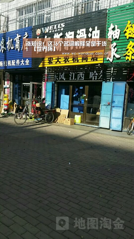 涨知识!这16个名词解释全是干货!【世界杯】(图2) 世界杯官网