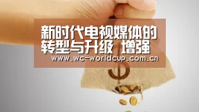新时代电视媒体的转型与升级 增强内容生产力“世界杯官网”(图3) 2026世界杯