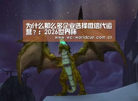 为什么那么多企业选择微信代运营?:2026世界杯(图3) 世界杯官网