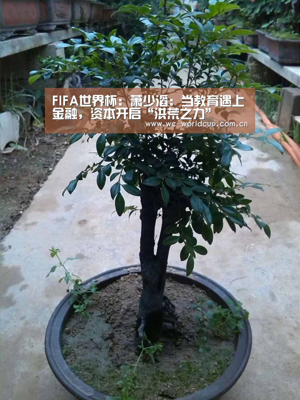 FIFA世界杯:萧少滔:当教育遇上金融,资本开启“洪荒之力”(图3) 世界杯官网