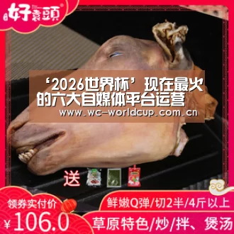 ‘2026世界杯’现在最火的六大自媒体平台运营实用技巧攻略(图1) 世界杯