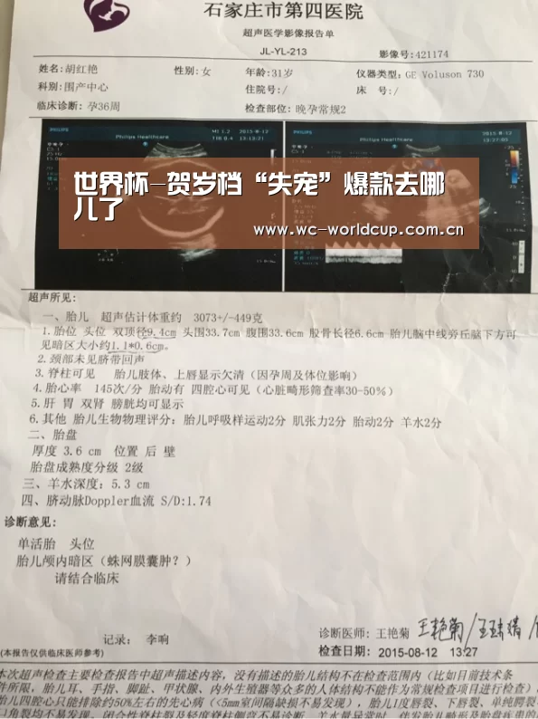世界杯-贺岁档“失宠”爆款去哪儿了(图3) FIFA世界杯
