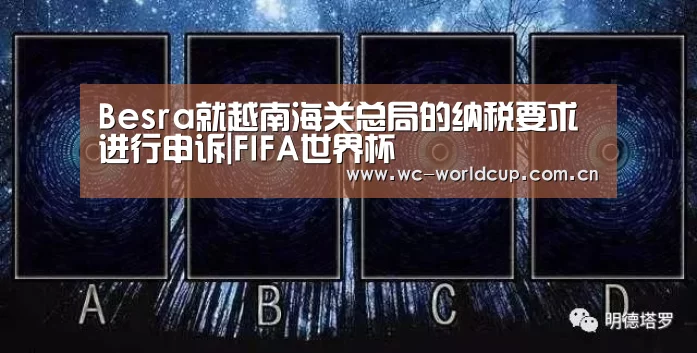 FIFA世界杯